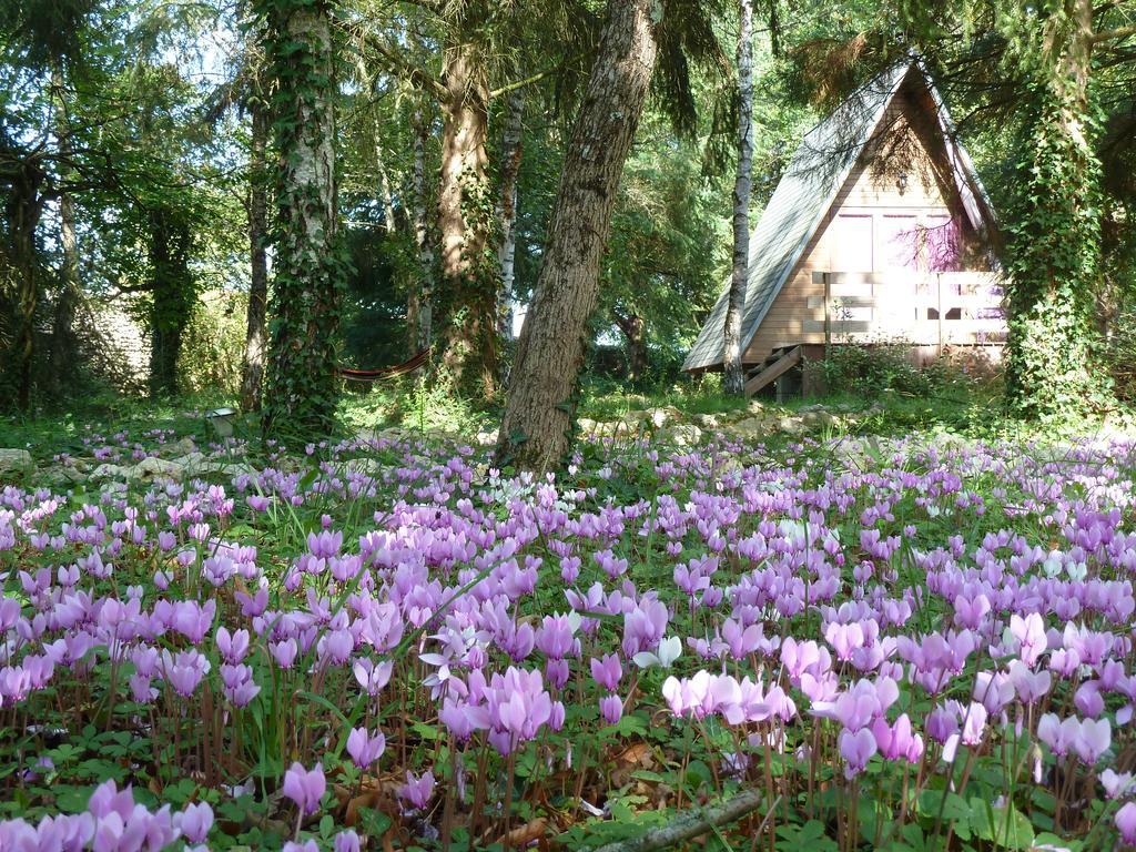 La Rossignolerie - Cabane Aux Oiseaux Chouzy-sur-Cisse Esterno foto