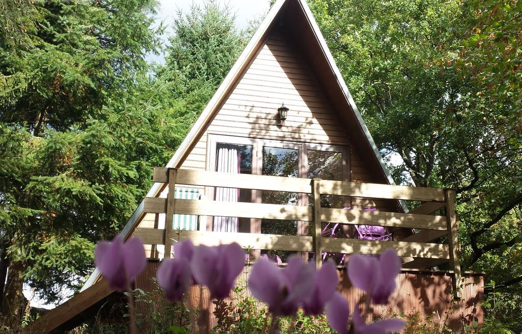La Rossignolerie - Cabane Aux Oiseaux Chouzy-sur-Cisse Esterno foto